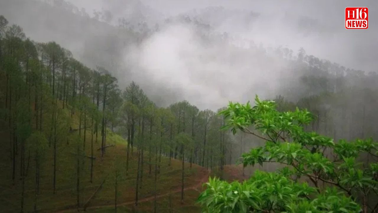 Uttarakhand weather today: Heavy rain likely in Uttarkashi, Rudraprayag, Chamoli